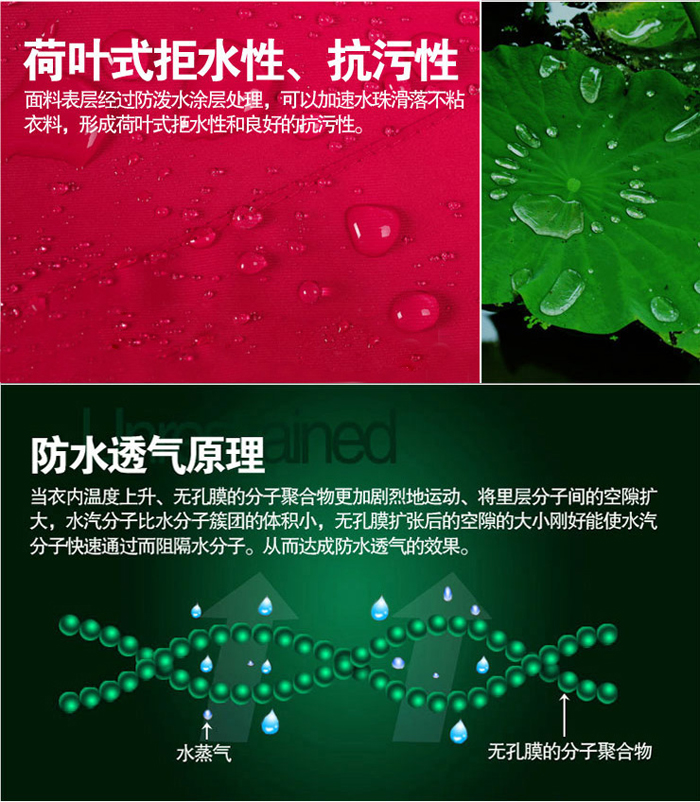 荷葉性拒水性，坑污性圖片