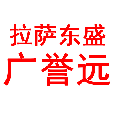 拉薩東盛廣譽(yù)遠(圖2)