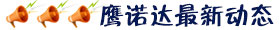 鷹諾達最新動(dòng)態(tài)
